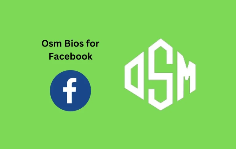 Perfect Osm Bios for Facebook | Top & Stylish Osm FB Bios in 2024