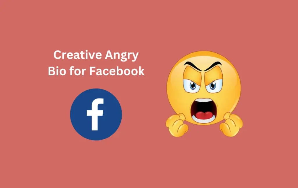 Creative Angry Bio for Facebook
