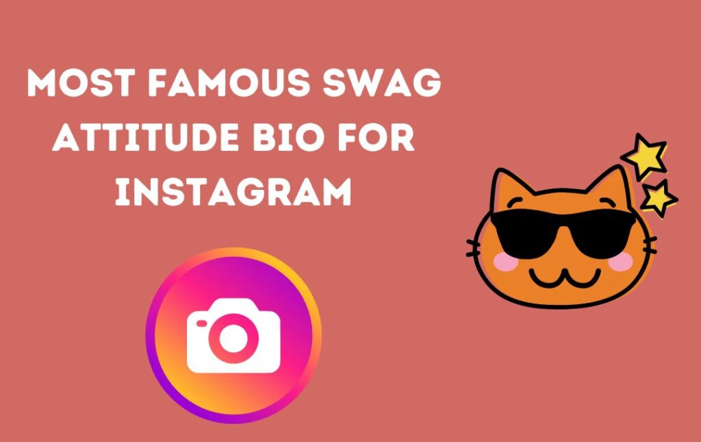 Most Famous Swag Attitude Bio For Instagram